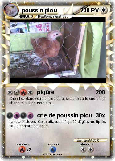 Pokemon poussin piou