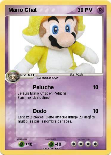 Pokemon Mario Chat