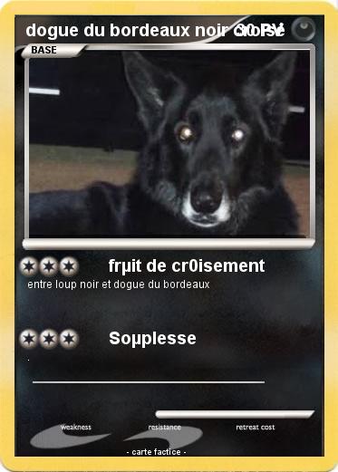 Pokemon dogue du bordeaux noir croisé