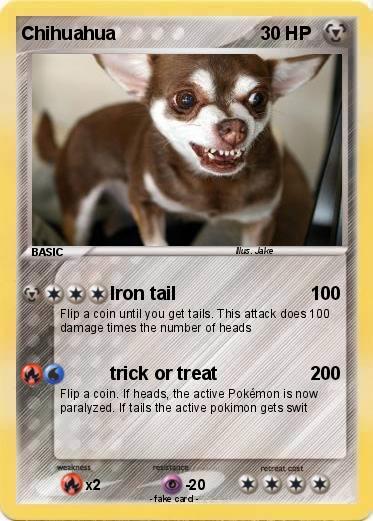 Pokemon Chihuahua