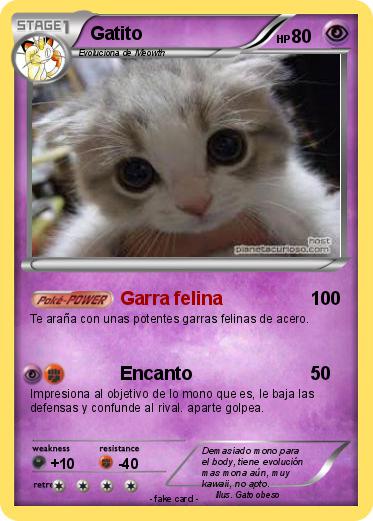 Pokemon Gatito