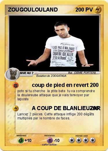 Pokemon ZOUGOULOULAND