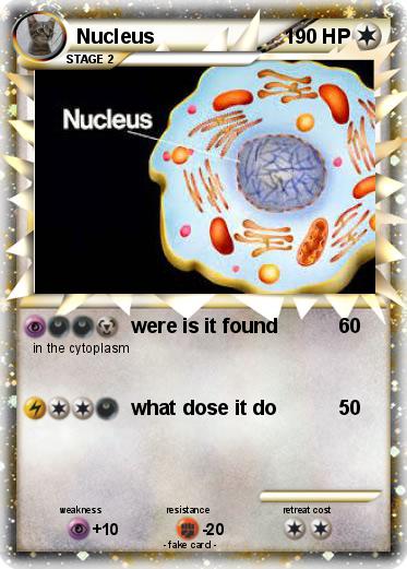 Pokemon Nucleus