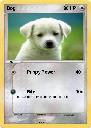 Pokemon Dog