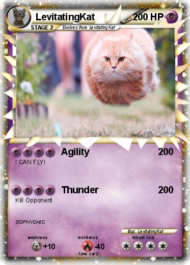Pokemon LevitatingKat