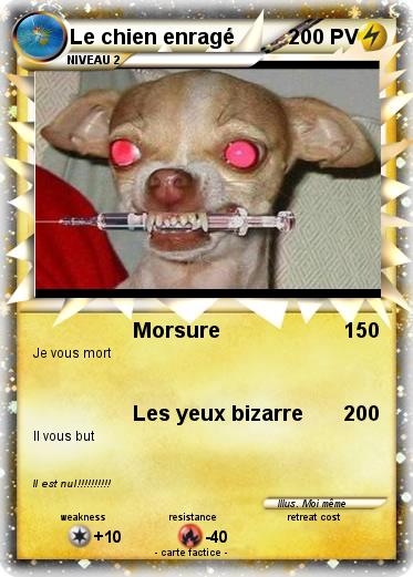Pokemon Le chien enragé