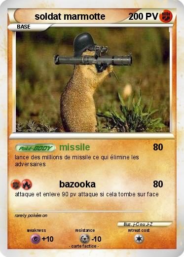 Pokemon soldat marmotte