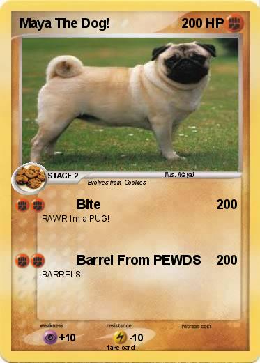 Pokemon Maya The Dog!