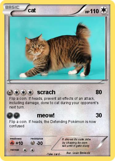 Pokemon cat