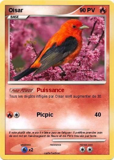 Pokemon Oisar