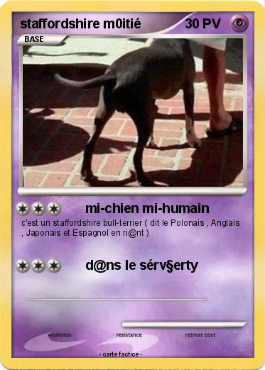 Pokemon staffordshire m0itié