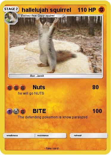 Pokemon hallelujah squirrel