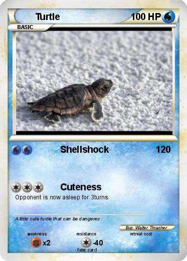 Pokemon Turtle