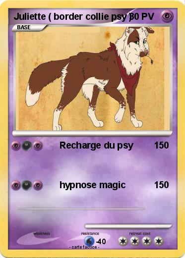 Pokemon Juliette ( border collie psy )