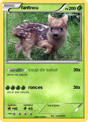Pokemon fanfinou