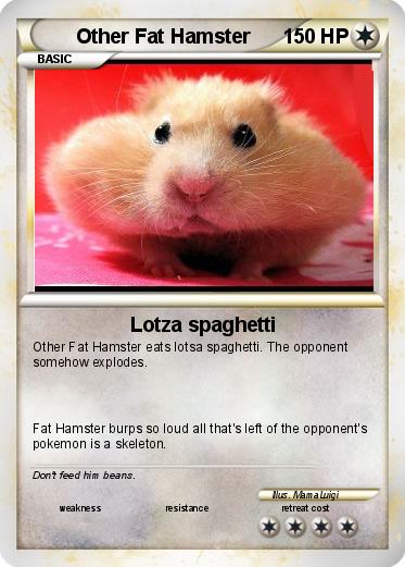 Pokemon Other Fat Hamster