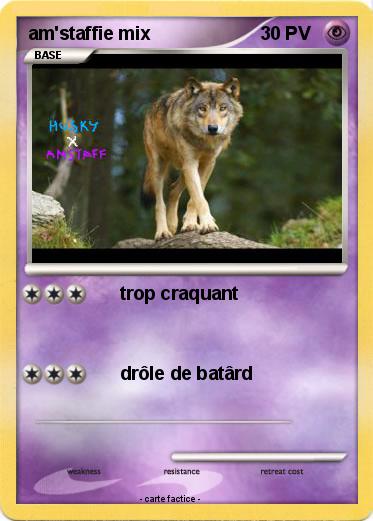 Pokemon am'staffie mix