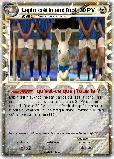 Pokemon Lapin crétin aux foot