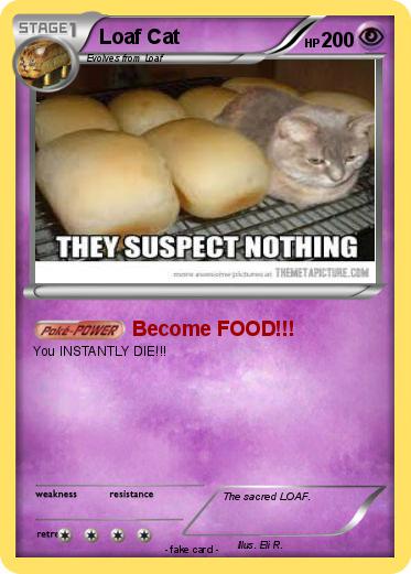 Pokemon Loaf Cat