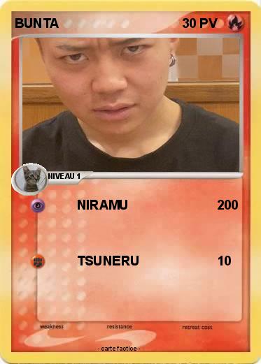 Pokemon BUNTA