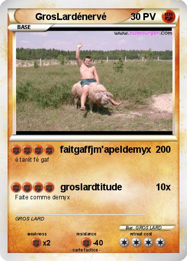 Pokemon GrosLardénervé