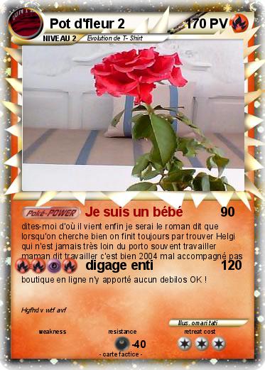 Pokemon Pot d'fleur 2