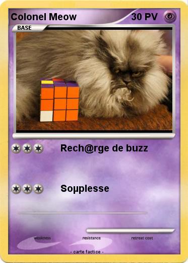 Pokemon Colonel Meow