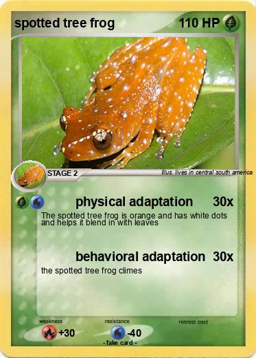 Pokemon spotted tree frog