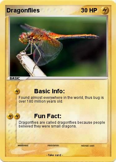 Pokemon Dragonflies