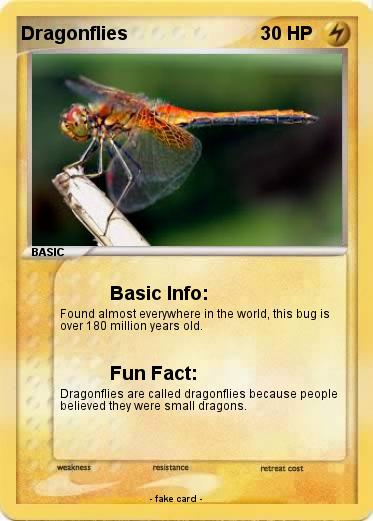 Pokemon Dragonflies