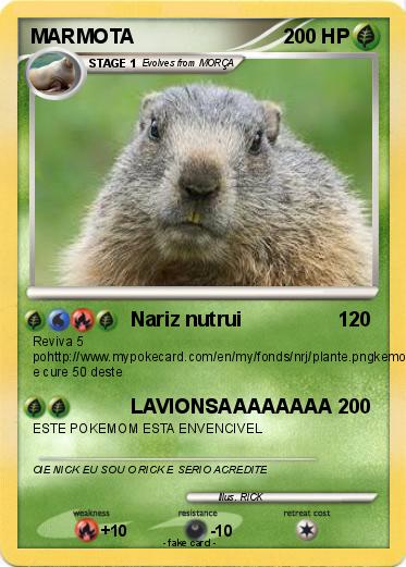 Pokemon MARMOTA