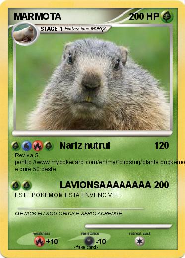 Pokemon MARMOTA