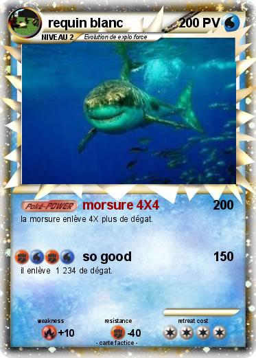 Pokemon requin blanc
