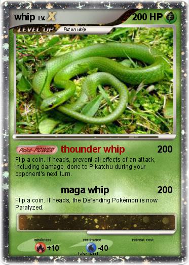 Pokemon whip