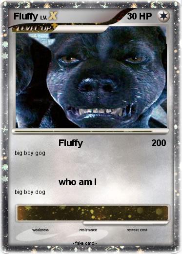 Pokemon Fluffy