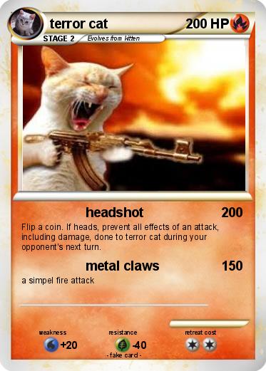 Pokemon terror cat