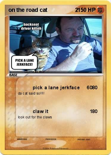 Pokemon on the road cat                  2