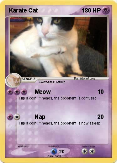 Pokemon Karate Cat