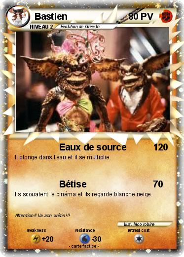 Pokemon Bastien