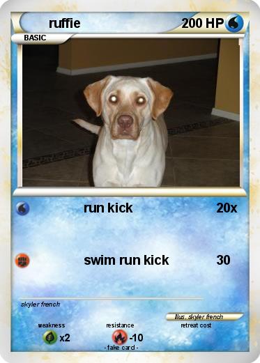 Pokemon ruffie