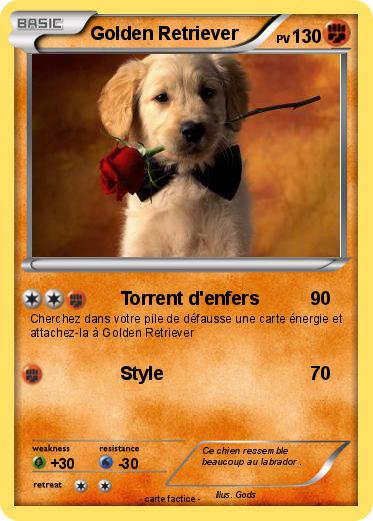 Pokemon Golden Retriever