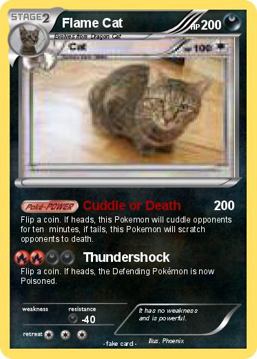 Pokemon Flame Cat