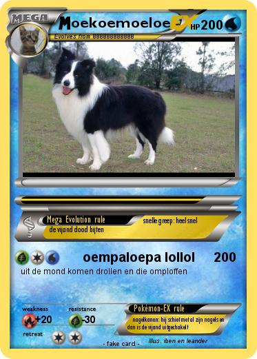 Pokemon oekoemoeloe