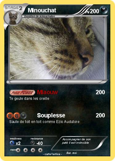 Pokemon Minouchat