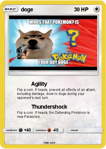 Pokemon doge