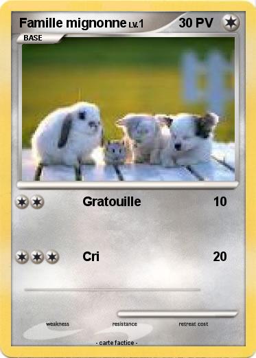 Pokemon Famille mignonne