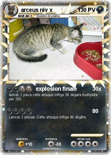 Pokemon arceus niv x