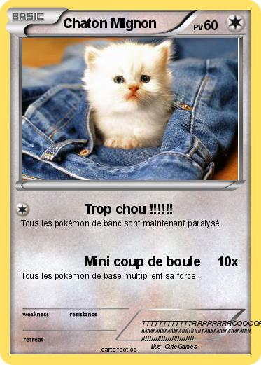 Pokemon Chaton Mignon