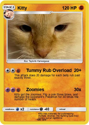 Pokemon Kitty