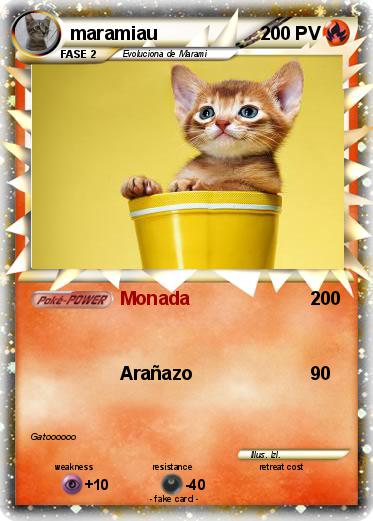 Pokemon maramiau
